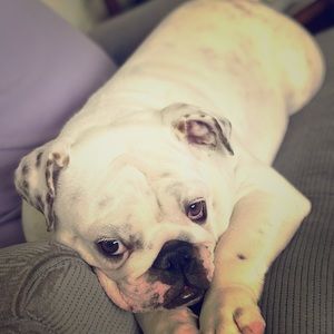 Meet your Posher, Tammy